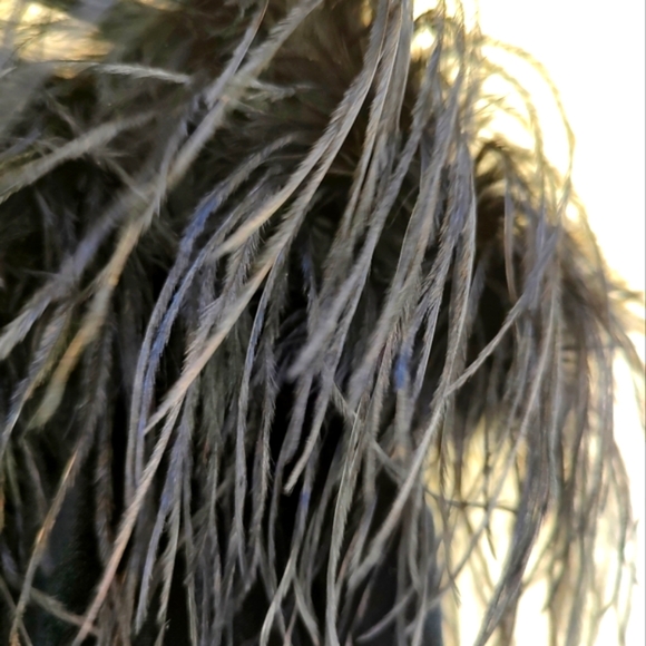 off the shoulder velvet feather top - Picture 4 of 6